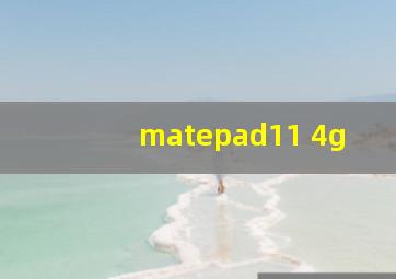 matepad11 4g